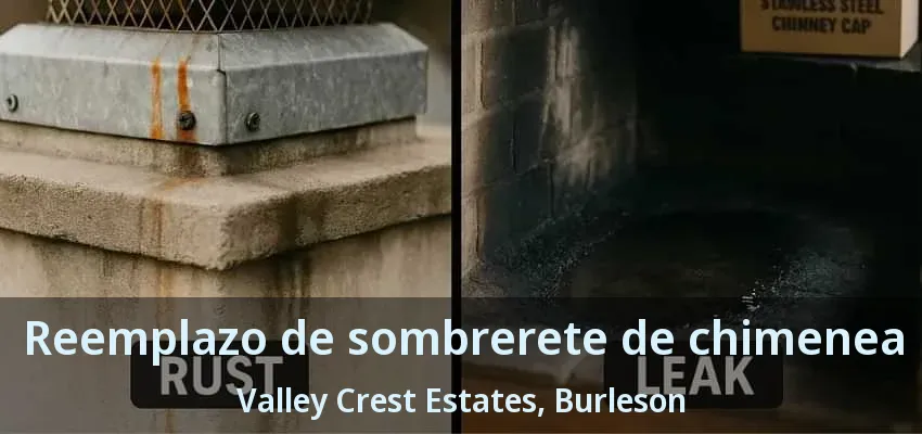Reemplazo de sombrerete de chimenea Valley Crest Estates, Burleson - TX