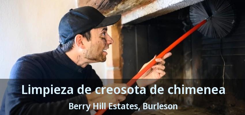 Limpieza de creosota de chimenea Berry Hill Estates, Burleson - TX