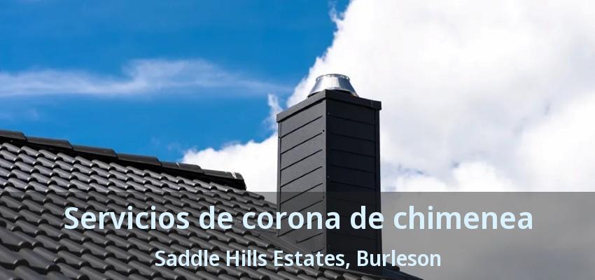 Servicios de corona de chimenea Saddle Hills Estates, Burleson - TX