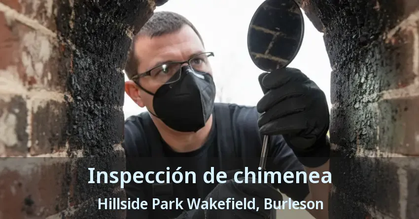 Inspección de chimenea Hillside Park Wakefield, Burleson - TX