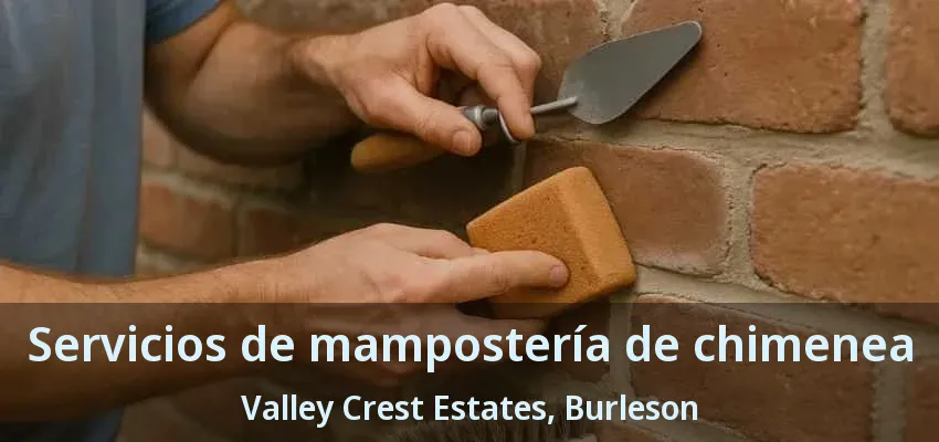 Servicios de mampostería de chimenea Valley Crest Estates, Burleson - TX