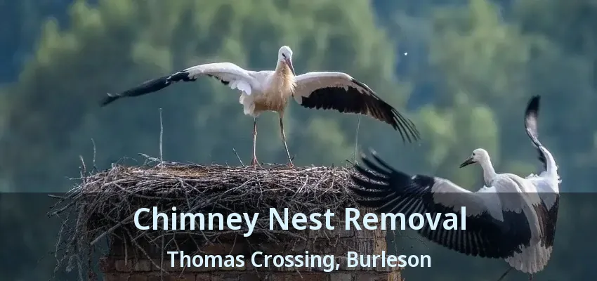 Chimney Nest Removal Thomas Crossing, Burleson - TX