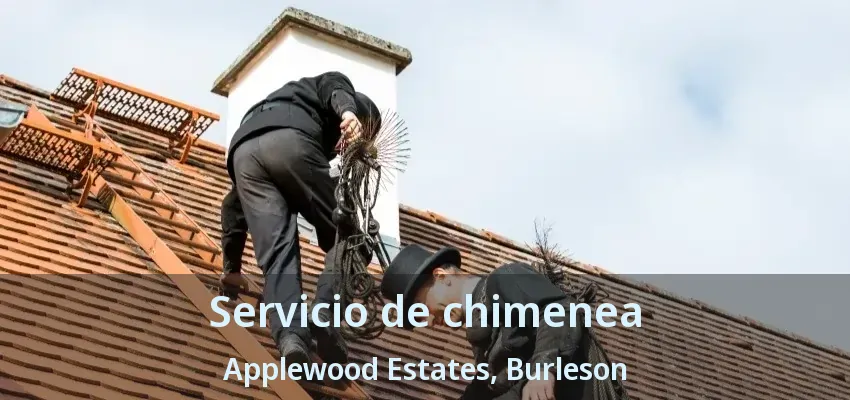 Servicio de chimenea Applewood Estates, Burleson - TX Servicio de chimenea Applewood Estates, Burleson - TX
