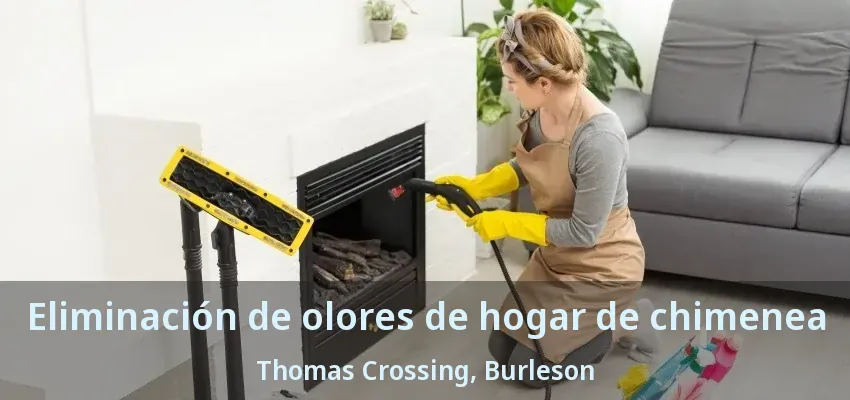 Eliminación de olores de hogar de chimenea Thomas Crossing, Burleson - TX