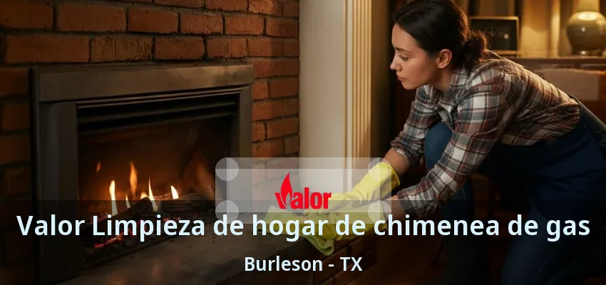 Valor Limpieza de hogar de chimenea de gas Burleson - TX