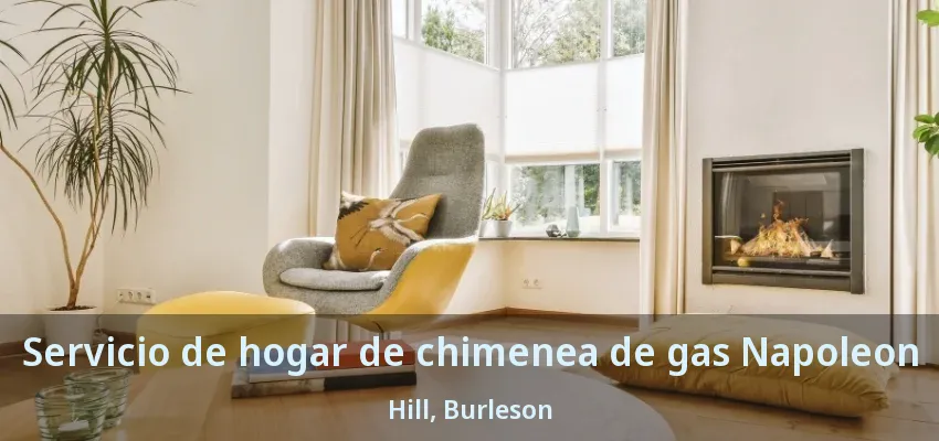 Servicio de hogar de chimenea de gas Napoleon Hill, Burleson - TX